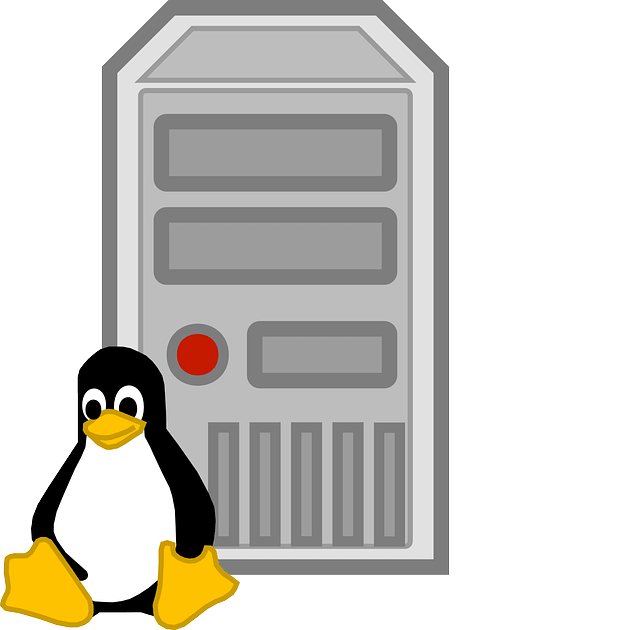 hosting linux-min